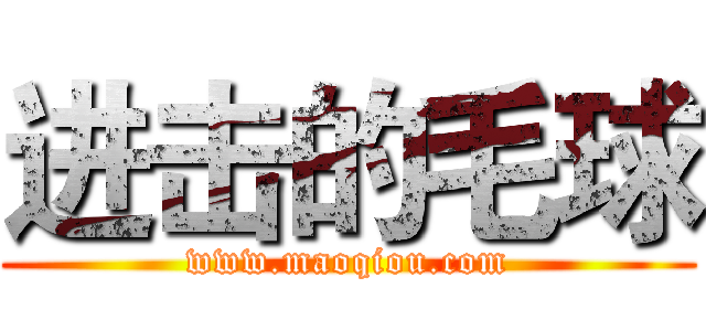 进击的毛球 (www.maoqiou.com)
