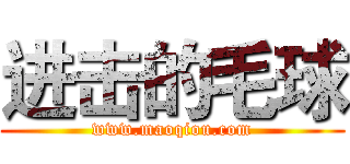 进击的毛球 (www.maoqiou.com)