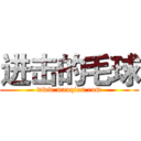进击的毛球 (www.maoqiou.com)