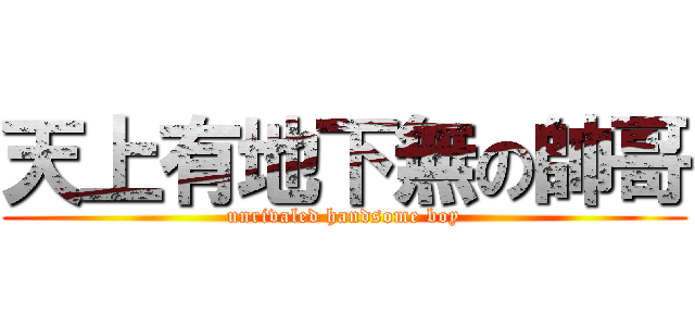 天上有地下無の帥哥 (unrivaled handsome boy)