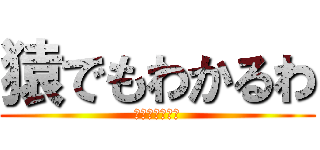 猿でもわかるわ (猿でもわかるわ)