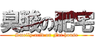 臭酸の肥宅 (Smelly acid on Fat house)