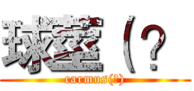 球莖（ ？ (carmus(?))