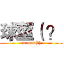 球莖（ ？ (carmus(?))