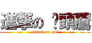 進撃の 貓頭鷹 (attack on owl)