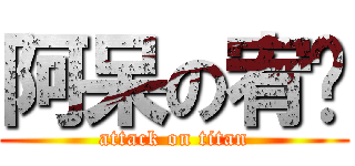 阿呆の宥樑 (attack on titan)