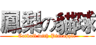 鳳梨の貓球 (Catball with Pineapple)