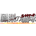 鳳梨の貓球 (Catball with Pineapple)