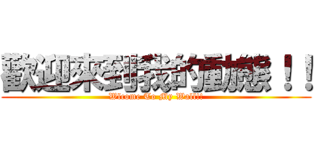 歡迎來到我的動態！！ (Wlcome To My Wall!!)