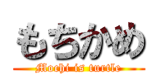 もちかめ (Mochi is turtle)