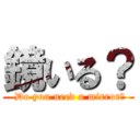 鏡いる？ ( Do you need a mirror?)