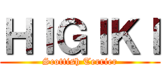 ＨＩＧＩＫＩ (Scottish Terrier)