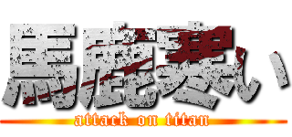 馬鹿寒い (attack on titan)