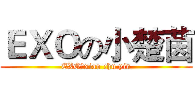 ＥＸＯの小楚茵 (EXO？xiao chu yin)
