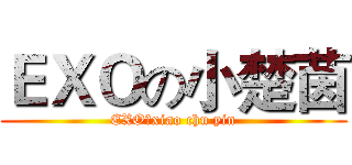 ＥＸＯの小楚茵 (EXO？xiao chu yin)