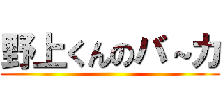 野上くんのバ～カ ()