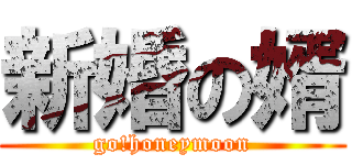 新婚の婿 (go!honeymoon)