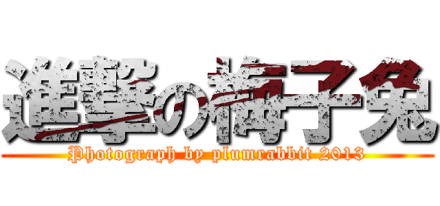 進撃の梅子兔 (Photograph by plumrabbit 2013)