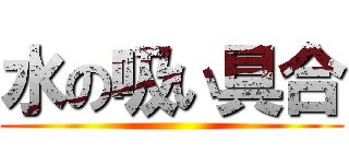 水の吸い具合 ()