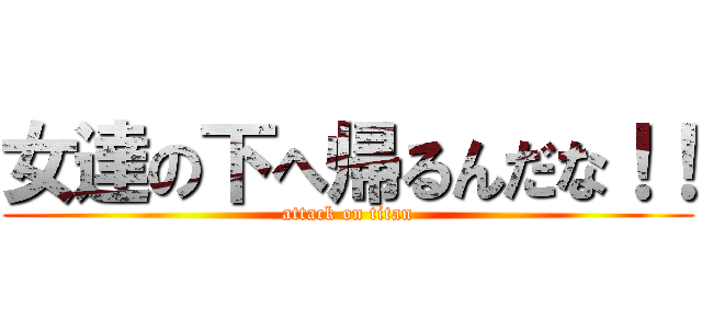 女達の下へ帰るんだな！！ (attack on titan)