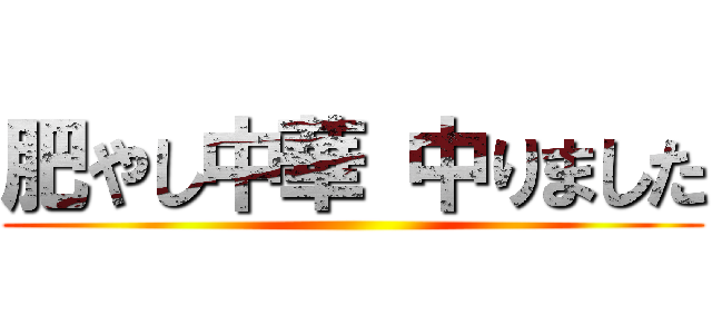 肥やし中華 中りました ()