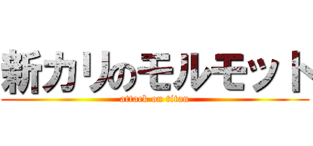 新カリのモルモット (attack on titan)