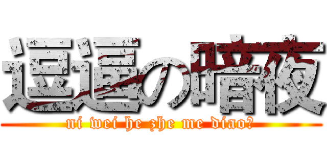 逗逼の暗夜 (ni wei he zhe me diao?)