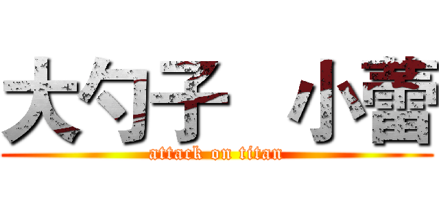 大勺子   小蕾 (attack on titan)