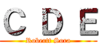 Ｃ Ｄ Ｅ (Robertt Sora)