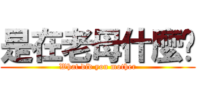 是在老母什麼啦 (What did you mother)
