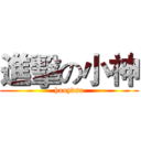 進擊の小神 (hooydsa)