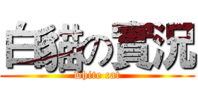 白貓の實況 (white cat)