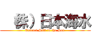  （株）日本海水 (Extract Salt in the Sea )