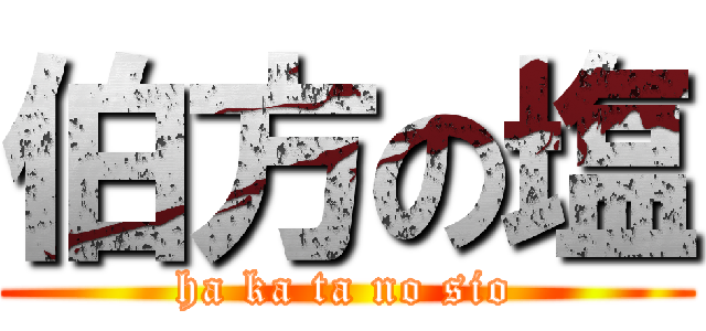 伯方の塩 (ha ka ta no sio)