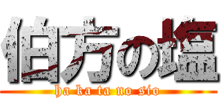 伯方の塩 (ha ka ta no sio)