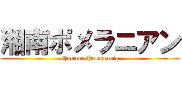 湘南ポメラニアン (shounan Pomeranin)