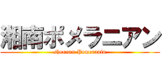 湘南ポメラニアン (shounan Pomeranin)