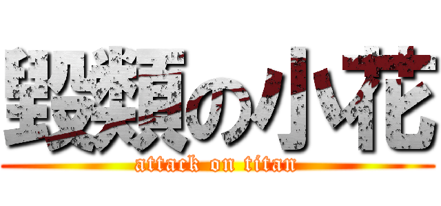 毀類の小花 (attack on titan)