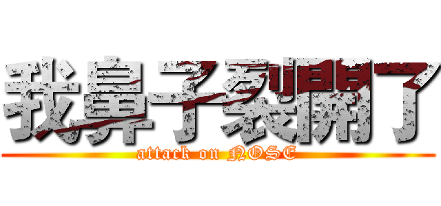 我鼻子裂開了 (attack on NOSE)