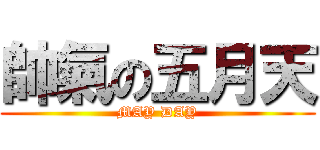 帥氣の五月天 (MAY DAY)