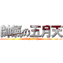 帥氣の五月天 (MAY DAY)