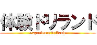 体験ドリランド (experience driland)
