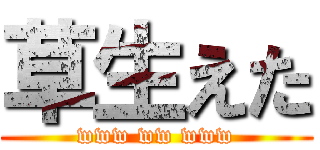 草生えた (www ww www)