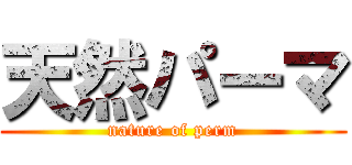 天然パーマ (nature of perm)
