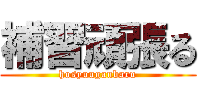 補習頑張る (hosyuuganbaru)