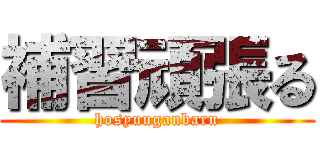 補習頑張る (hosyuuganbaru)