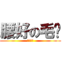 腰好の毛烨 (不服不行)