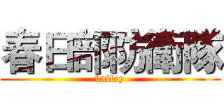 春日部防衛隊 (valley)