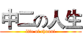 中二の人生 (life of chuuni)