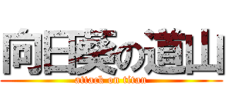向日葵の道山 (attack on titan)
